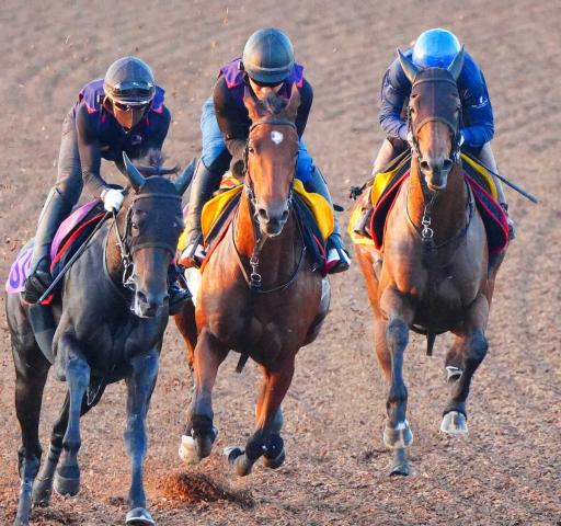 【関屋記念】アルセナール　馬なりも躍動感　陣営「条件も合っているので牡馬相手でも走ってくれる」