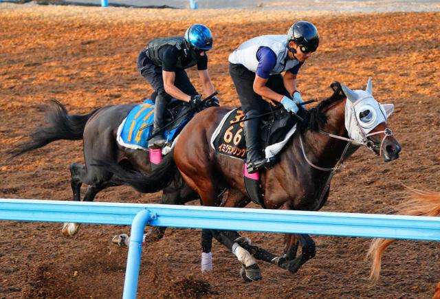 【関屋記念】イミグラントソング　余力十分に併入　辻師「体もふっくら。芯が入りつつある」