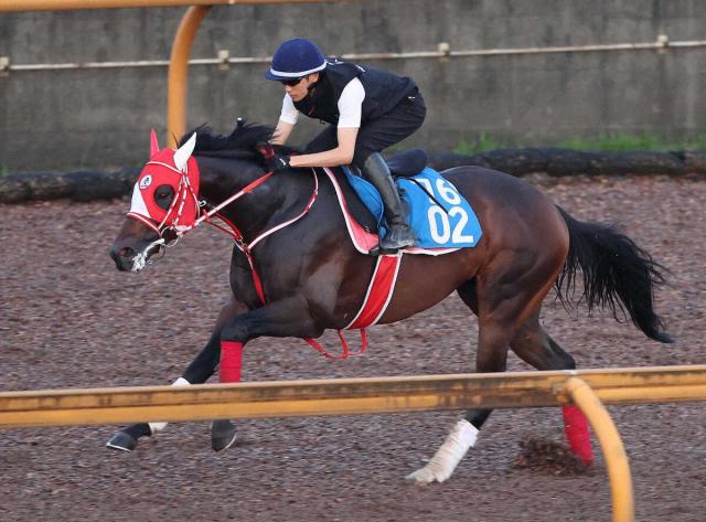 【東海S】ビダーヤ　まだまだ良化途上!坂井「動き的にはまだピリッとしてこない」