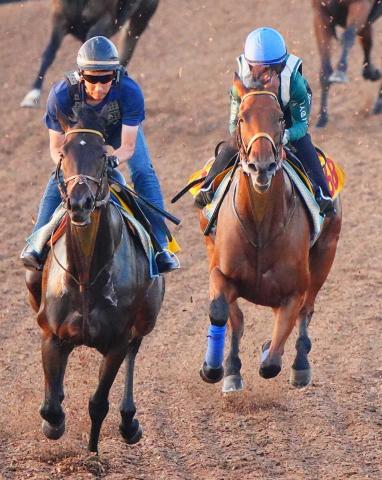 【関屋記念】カナテープ反応抜群!キング姐さん背に夏バテ知らずの動き「満足できる動きだったわ」
