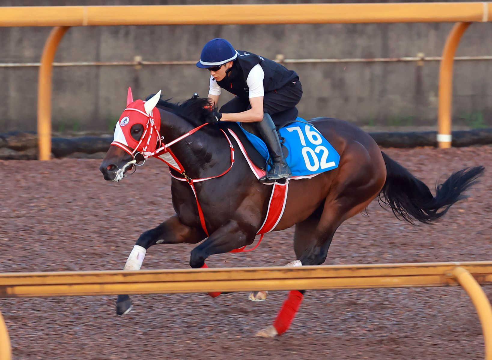 【東海Ｓ】ビダーヤ　好仕上がりアピール　矢作厩舎×リアルスティール産駒×４歳馬の逸材がスター街道へ
