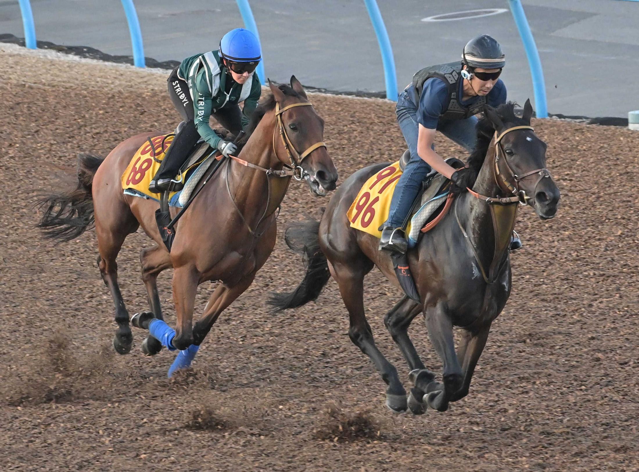 【関屋記念】カナテープに“キング姐さん”太鼓判「武器は末脚だけじゃない」２週連続重賞制覇に意欲