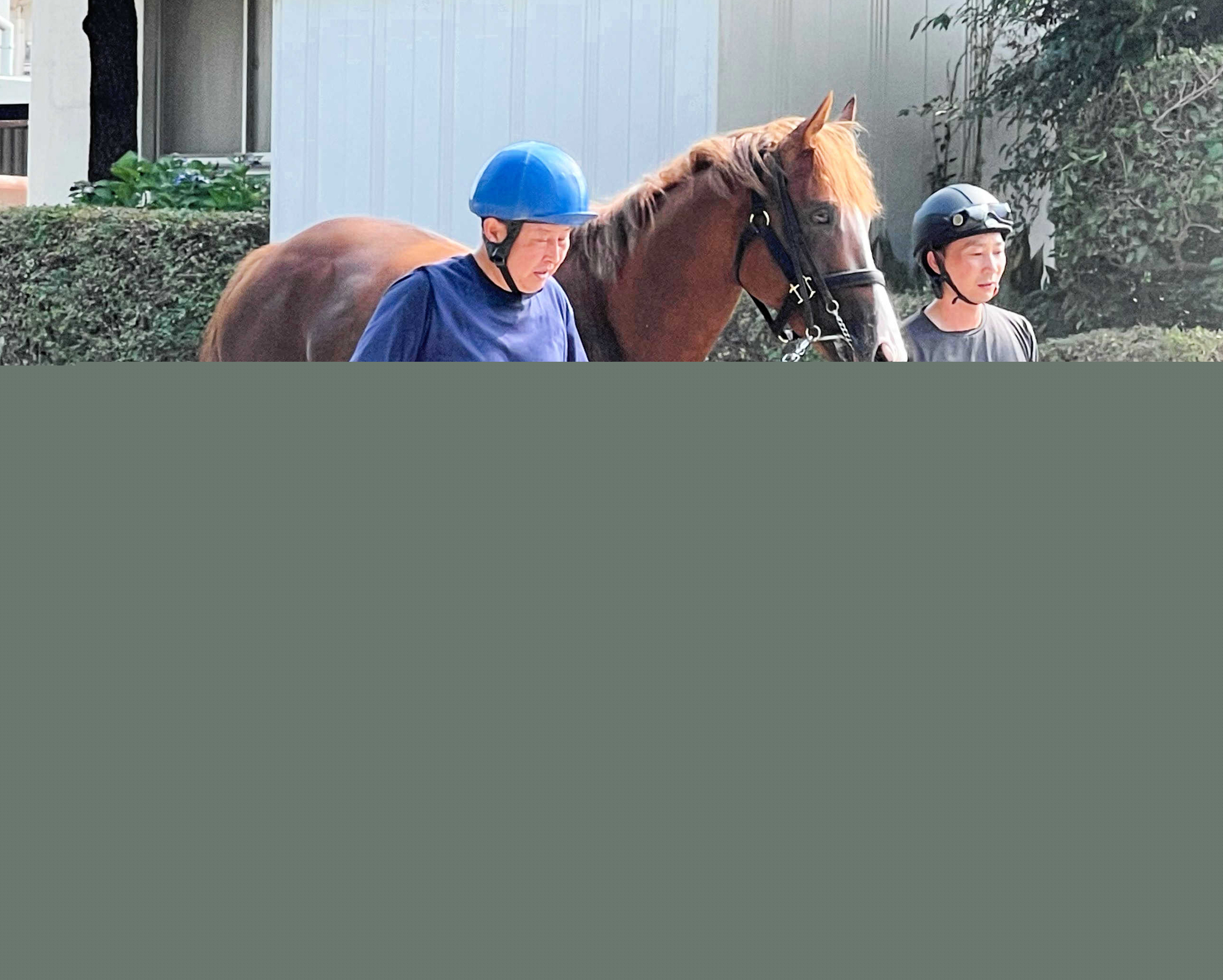 エルナトは８月３日の中京３Ｒで幸を背にデビュー予定　半兄はニュージーランド覇者イミグラントソング