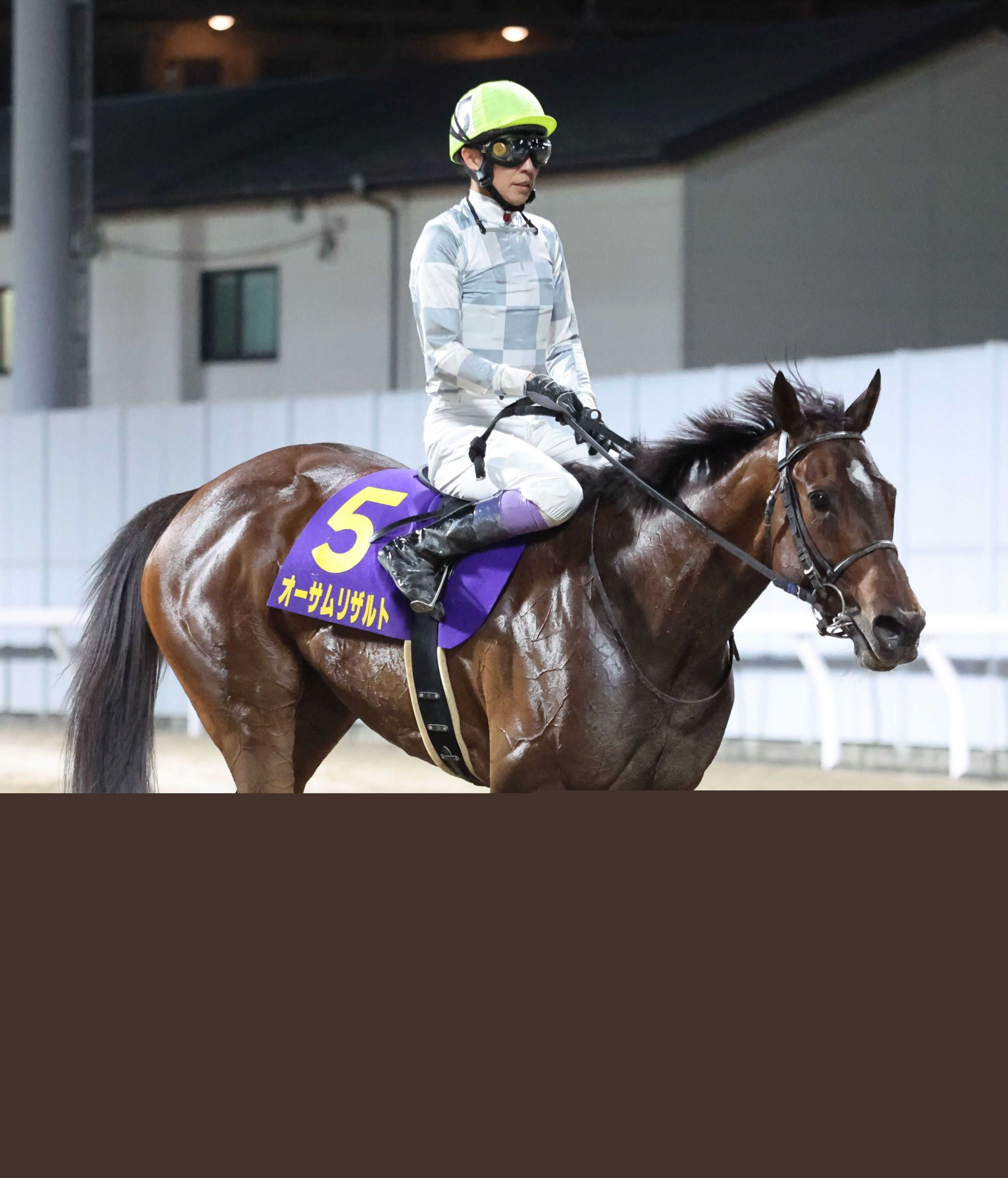 オーサムリザルトが帰厩　エンプレス杯で連勝ストップ　次戦はブリーダーズＧＣを目標に