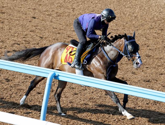 【関屋記念】“最強の1勝馬”ボンドガール屈辱の大敗から逆襲へあの手この手