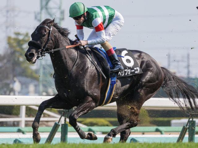 【新潟日報賞】半兄はGI・3勝のエフフォーリア ペリファーニアが連勝でオープン入りなるか