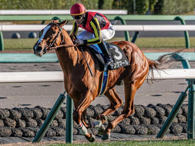 デビュー2連勝中のデンクマール 約7カ月ぶりの復帰戦Vなるか