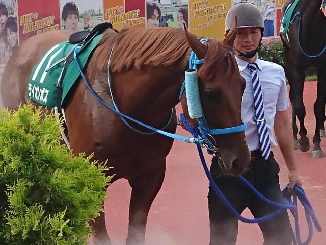 牝馬が強いアイビスSD 最後に勝った牡馬は6年前のライオンボス