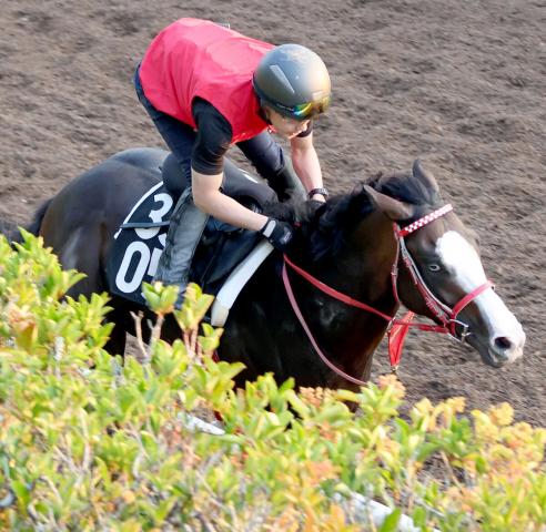 【関屋記念】シンフォーエバーは折り合い成長　陣営「開幕週ですし、行ききる競馬をしたい」