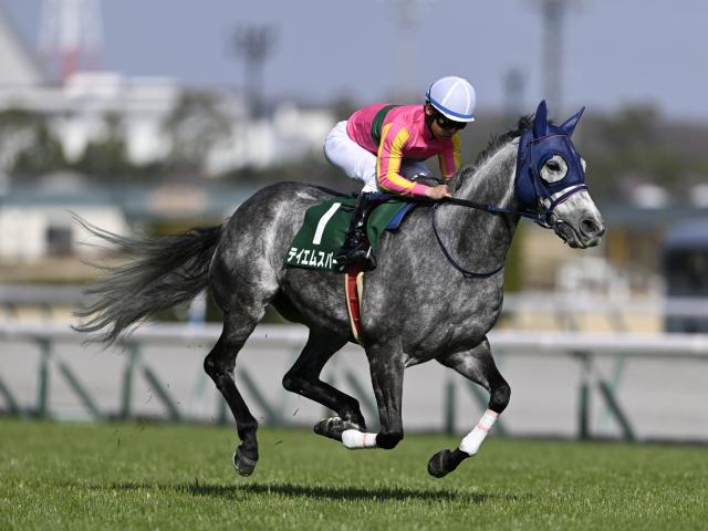 【有力馬動向】テイエムスパーダが鋭くラスト1F11秒1 昨年3着のアイビスSDへ勢いキープ/馬三郎のつぶやき