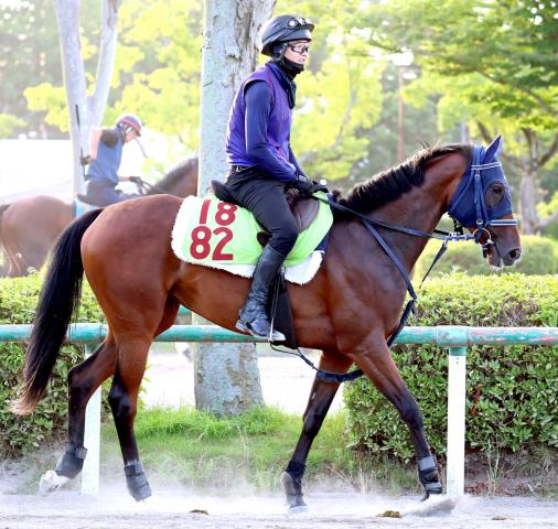 【POG】良血馬モートンアイランドが美浦トレセンでゲート試験に合格　手塚久調教師「けっこうバネがあって」
