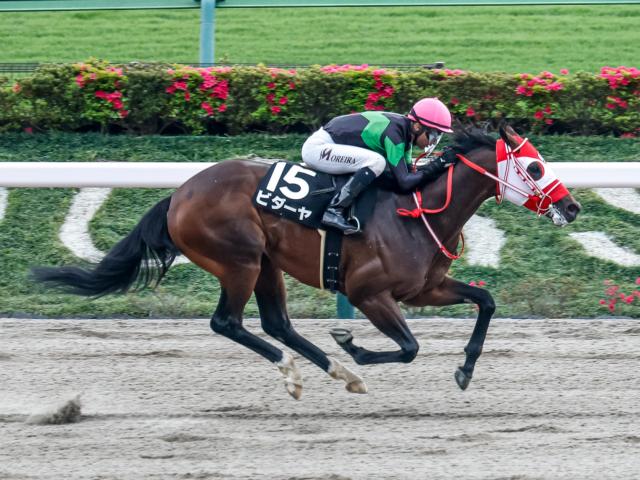 【東海S出走馬・騎手確定】ビダーヤ＆坂井瑠星騎手、オメガギネス＆岩田康誠騎手など16頭