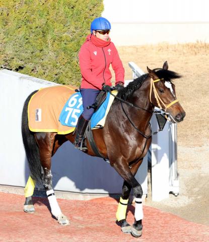 ジャックルマロワ賞に挑むゴートゥファーストが国内最終追い　陣営「しっかりと負荷をかけられた」