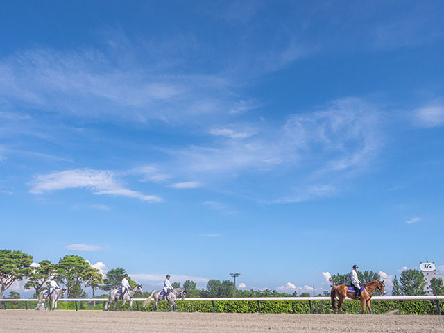 最終Rを見ても翌日の1Rに間に合う!? 暑熱対策期間中における競馬場間の移動を調べてみた