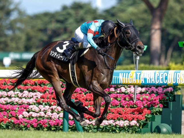 【新潟日報賞】人気馬不振で大波乱も 二桁人気でも積極的に買いたい一戦