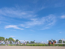 競走時間帯の拡大が実施される新潟競馬場(撮影：下野雄規)