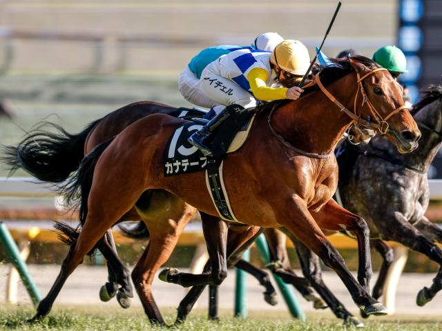 【関屋記念予想】ワンターンのサマーマイルシリーズ第2戦 瞬発力が求められる戦い
