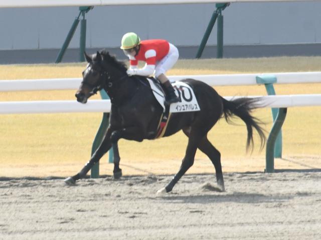 【東海S予想】舞台変更で逃げ、先行馬が圧倒的に有利に