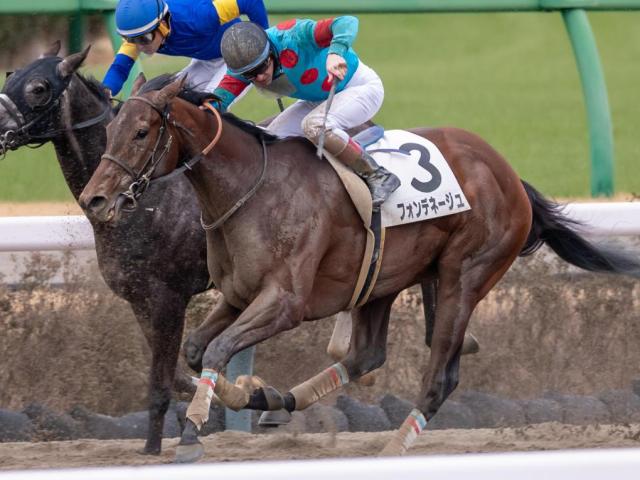 母は白毛初の重賞ウイナー フォンデネージュが待望の初勝利なるか
