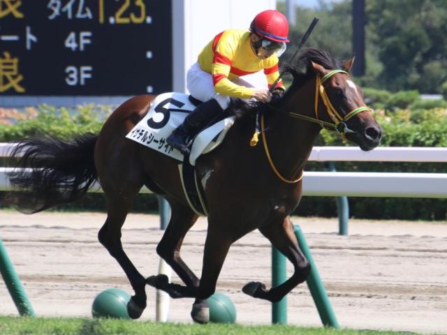 開幕週の新潟芝は高速馬場 新潟日報賞はイサチルシーサイドの逃げ切りがあるぞ
