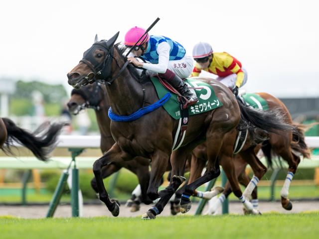 23年函館スプリントS覇者のキミワクイーンが登録抹消 今後は繁殖入りの予定
