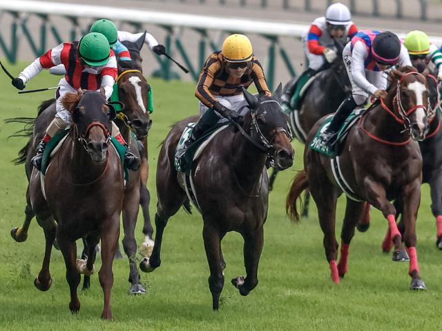 【アイビスSD想定馬・騎手】モズメイメイ、ウイングレイテストなど18頭