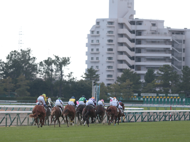 【中京4R新馬戦結果】ロードカナロア産駒マイケルバローズが接戦を制す
