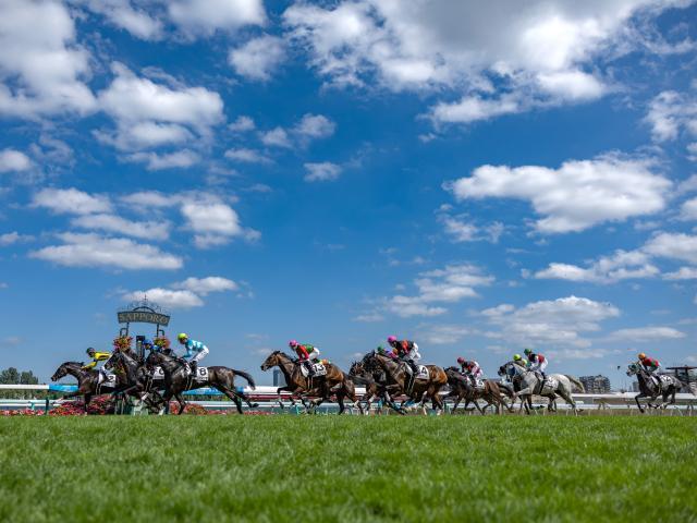 【札幌5R新馬戦結果】ルヴァンスレーヴ産駒テイエムキハクが押し切り勝ち