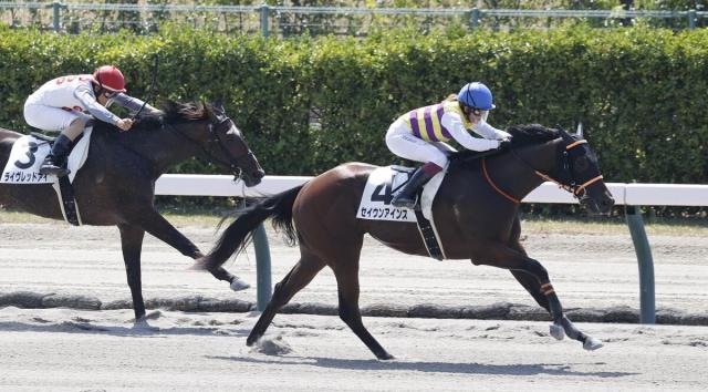 【新潟1R・2歳未勝利】夏の新潟オープニングレースは今村聖奈騎手がV「西山オーナーの馬で勝ててすごくうれしい」