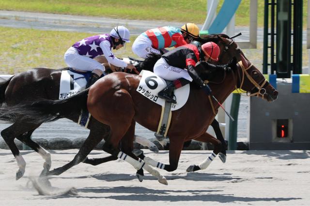 【中京2R・3歳未勝利】短期免許で来日のバデル騎手が初騎乗初勝利　23年以来のJRA2勝目