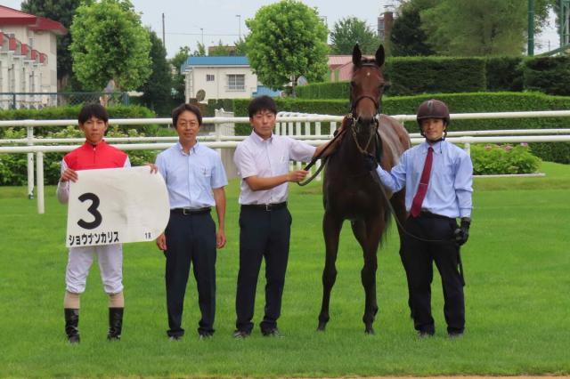 【札幌1R・2歳未勝利】開幕レースは3番人気ショウナンカリスがV　北村友一騎手「いい反応を持っていますね」