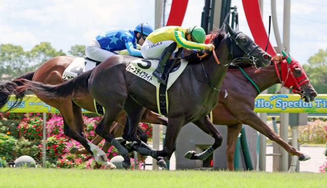 【中京3R・2歳未勝利】コントレイル産駒が2勝目　バースデイフライトが初V　川田将雅騎手「徐々に精神面が大人になれば」