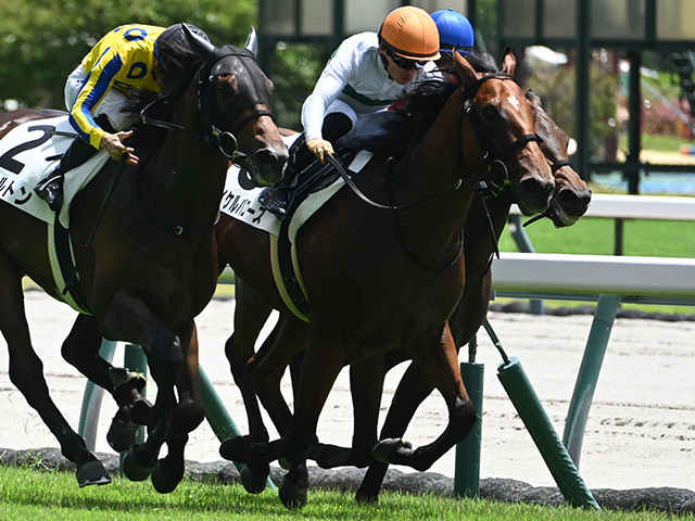 【中京4R新馬戦結果】ロードカナロア産駒マイケルバローズが接戦を制す