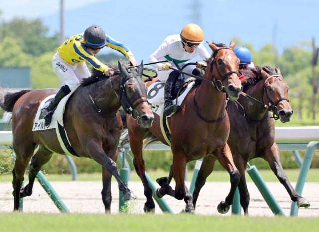 【中京4R・2歳新馬】マイケルバローズが接戦制しデビュー星　上村調教師「もっと良くなる」