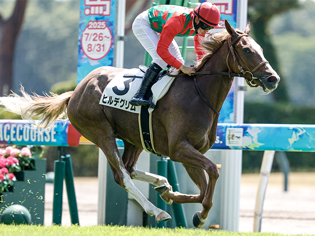 【新潟2R新馬戦結果】ゴールドシップ産駒ヒルデグリムが突き抜け快勝
