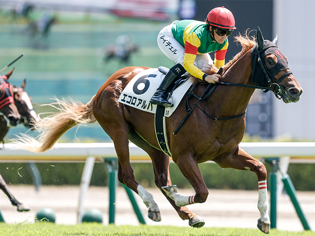 【新潟3R新馬戦結果】モズアスコット産駒エコロアルバが人気に応えて快勝