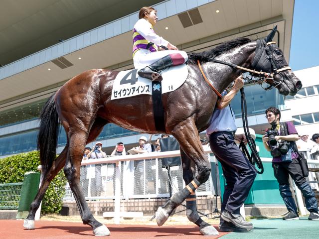 【2歳未勝利新潟1Rレース後コメント】セイウンアインス今村聖奈騎手ら