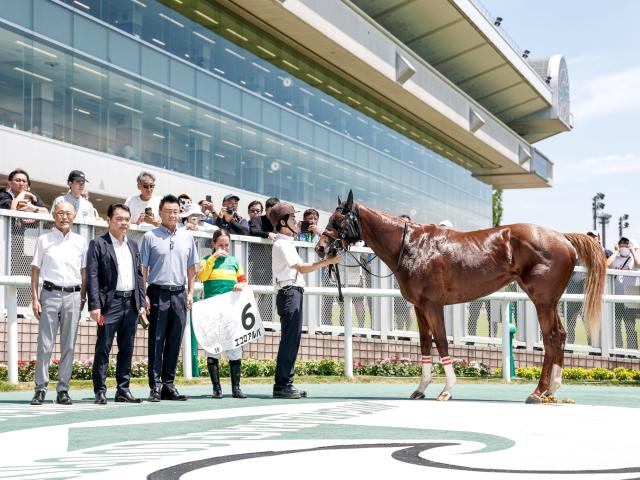【メイクデビュー新潟3Rレース後コメント】エコロアルバ R.キング騎手ら