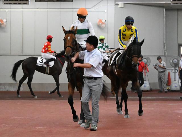 【メイクデビュー中京4Rレース後コメント】マイケルバローズ川田将雅騎手ら