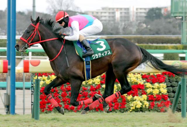 2021年の京成杯覇者グラティアスが競走馬登録抹消　今後はノーザンファームで乗馬に