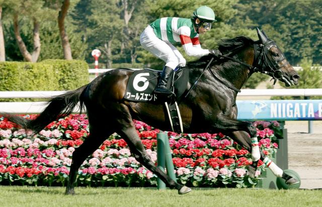 【新潟7R・新潟日報賞】良血ワールズエンドが圧勝でオープン入り　戸崎圭太騎手「強い内容だった」