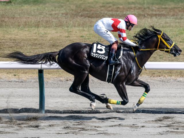 【麒麟山特別レース後コメント】クラウンシエンタ三浦皇成騎手ら
