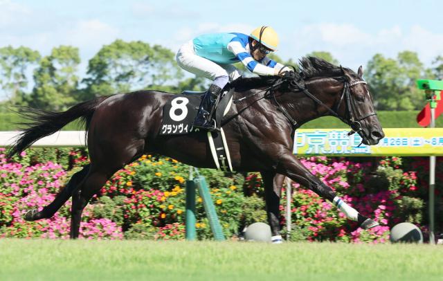 【中京7R・関ケ原S】良血グランヴィノスが1年5か月ぶりの復帰戦で快勝　友道調教師「七分ぐらいの出来で、この内容」