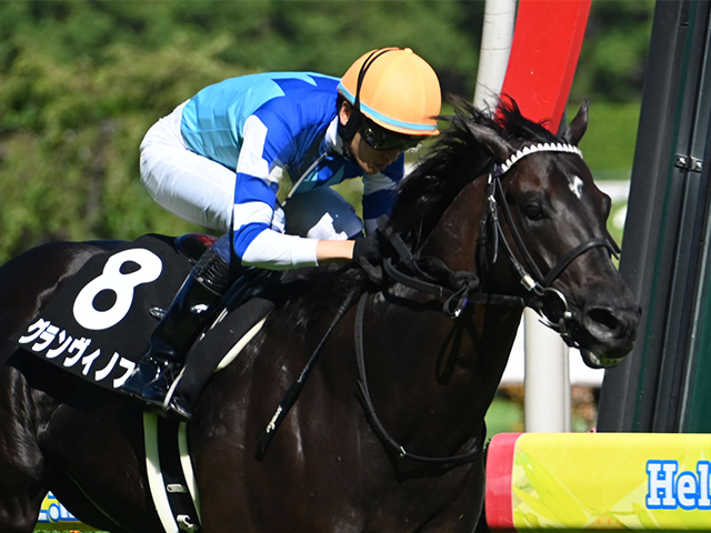【関ケ原Sレース後コメント】グランヴィノス坂井瑠星騎手ら