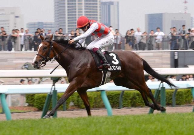 【札幌11R・TVh賞】カルプスペルシュがコースレコードタイで3連勝