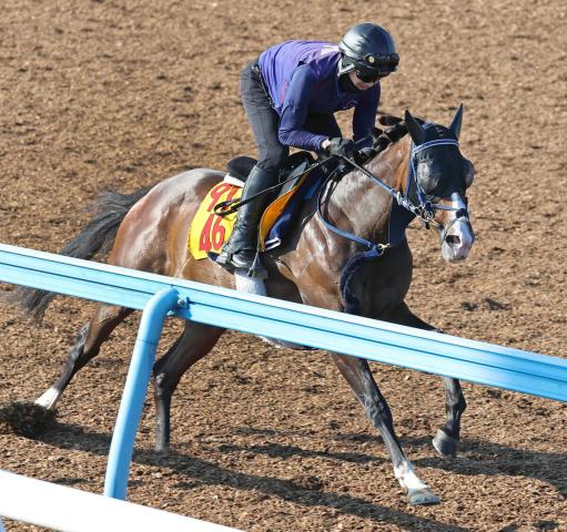 【関屋記念】ボンドガールが最終追い切りで折り合いに進境　手塚久調教師「よく我慢しましたよ」