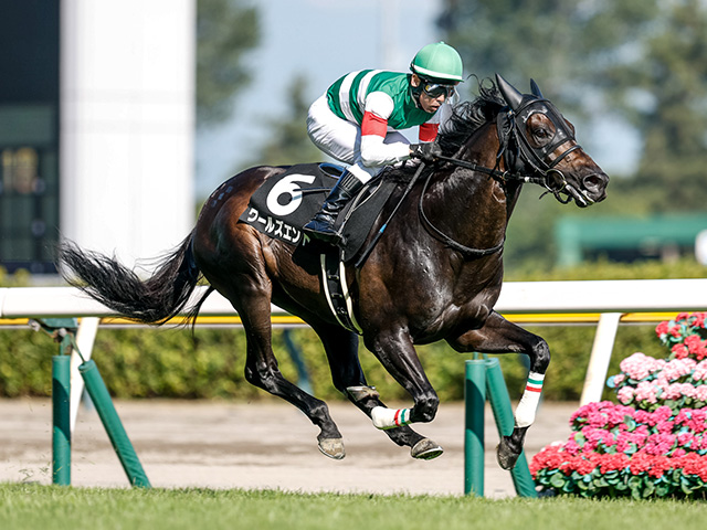 【新潟日報賞レース後コメント】ワールズエンド戸崎圭太騎手ら