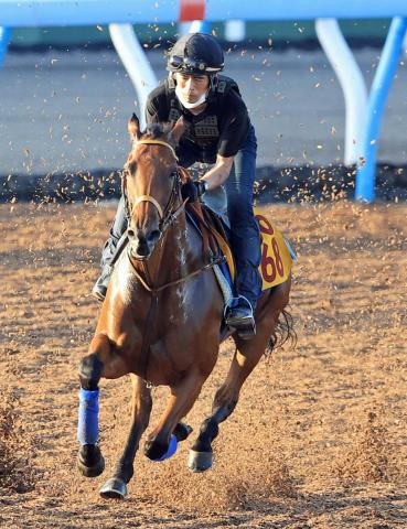 【関屋記念】単勝1番人気は“キング姐さん”騎乗のカナテープで4・5倍　ボンドガールが続く　前日最終オッズ
