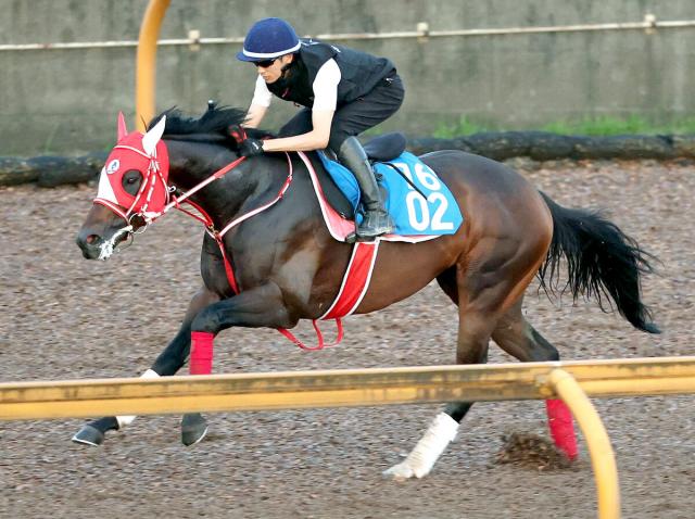 【東海S】砂4戦無敗のビダーヤが3・8倍で1番人気　初重賞制覇狙うサンライズフレイムが2番人気で4・5倍　前日オッズ発表