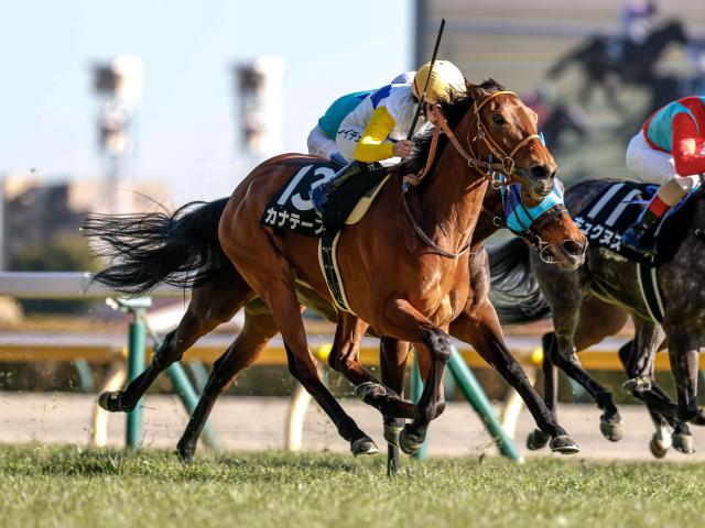 【関屋記念前日オッズ】カナテープが4.5倍で1番人気